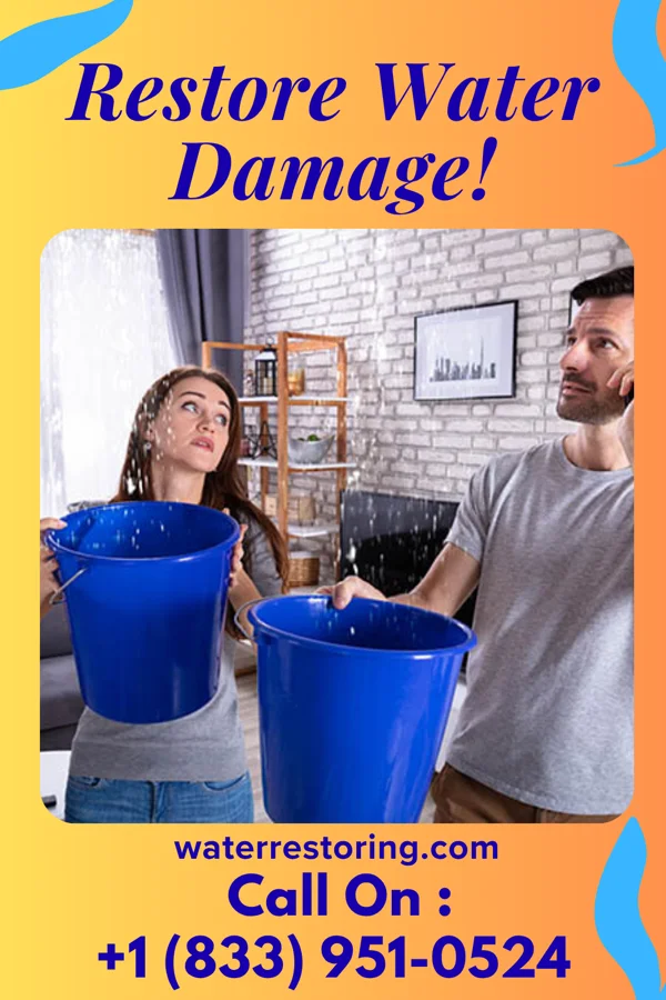 water restoration Expert Disaster Cleanup Masters Northwest