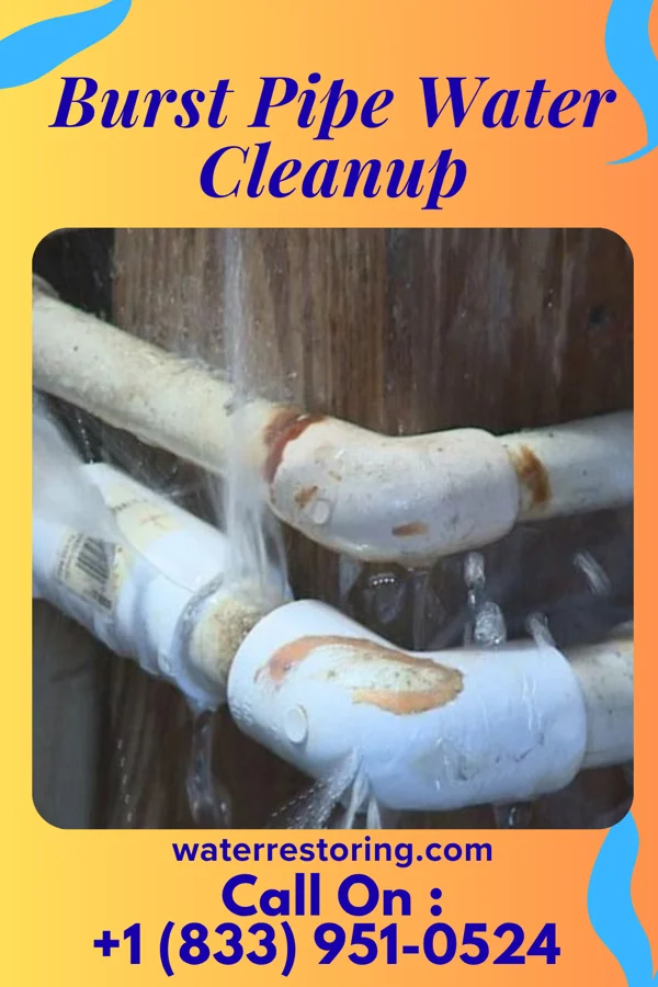 Burst Pipe Water Cleanup in Northwest, NC