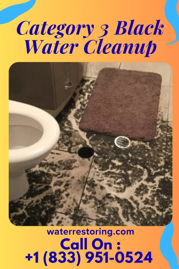 Category 3 Black Water Cleanup in Northwest, NC