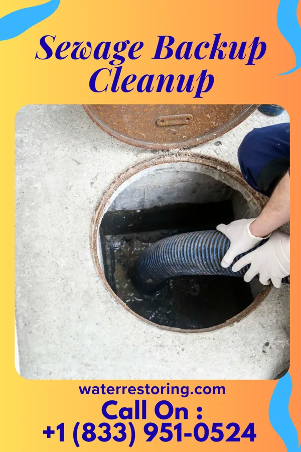 Sewage Backup Cleanup in Northwest, NC