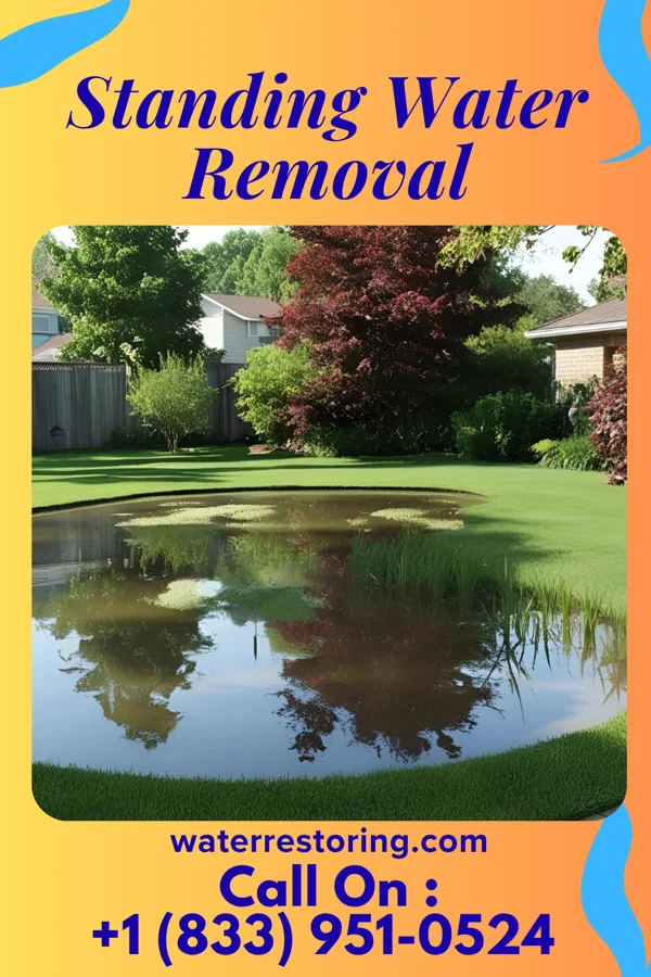 Standing Water Removal in Northwest, NC